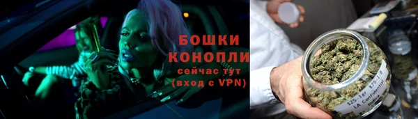 шишки Балахна