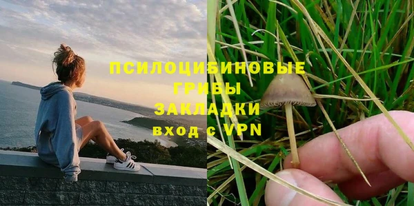 mdpv Армянск
